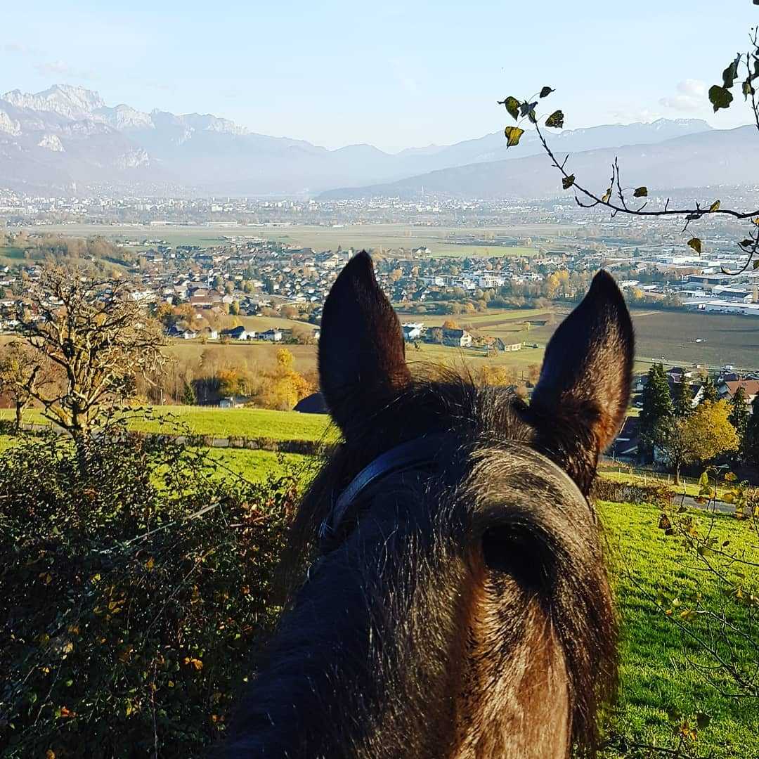 Petite balade vu sur le Lac ! 🦄