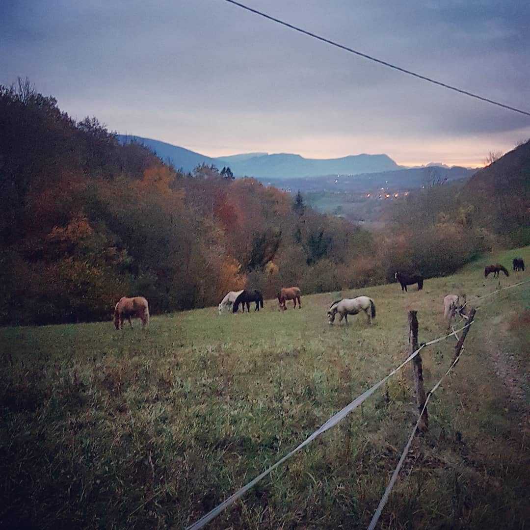 Confinement jour 2 ! Tout va bien pour les nains ! 😍🦄

#lesecuriesduchalet