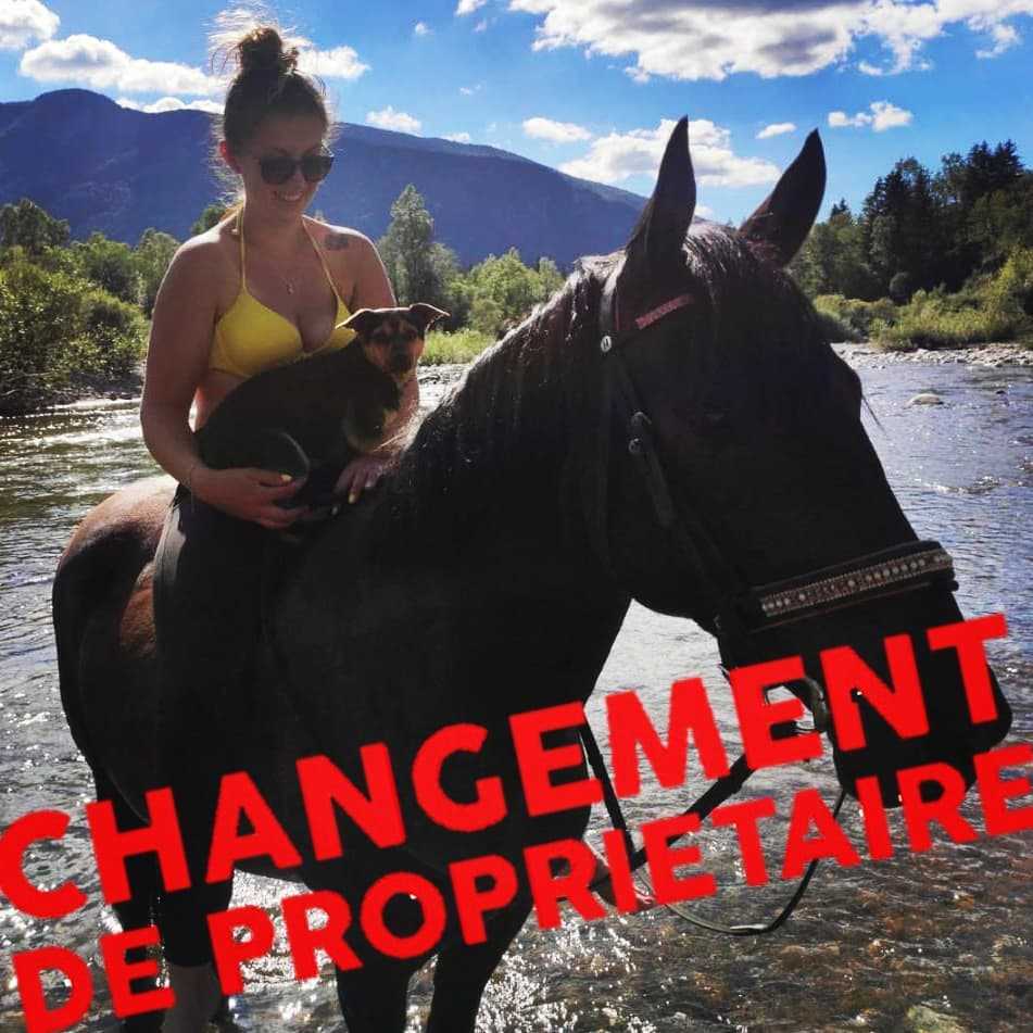 🔥 Inscriptions ouvertes aux écuries du Cha'let ! 😎

Je suis pressée de vous accueillir nombreux, à tout âge pour vous faire découvrir, redécouvrir ou perfectionner votre équitation ! 💪🏻😍

N'hésitez pas à consulter le site Internet pour tous renseignements ! 🤓 (lien dans la bio)