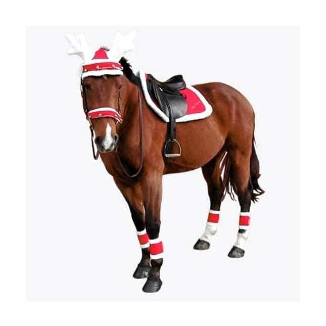 🎁 Le 25 décembre arrive à grand pas ! Estelle et moi seront en vacances ce jour là... J'appelle donc à candidature mes petites élèves (G4 minimum) qui seront disponibles pour s'occuper d'un cheval (ou plusieurs) ce jour là : monte, balade, liberté comme vous le souhaitez, pour qu'ils ne passent pas Noël tous seuls dans leur box ! 🦄🎅
N'hésitez pas à m'envoyer un msg pour que je puisse m'organiser !
Merci à vous, et merci pour eux ! 😍
À bientôt !

(Premiers arrivés, premiers servis)