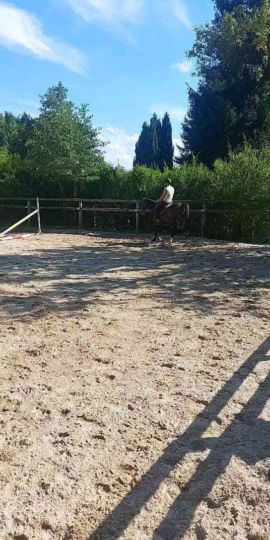 Reprise pour Ulaly... doucement mais sûrement 💪🏼😍