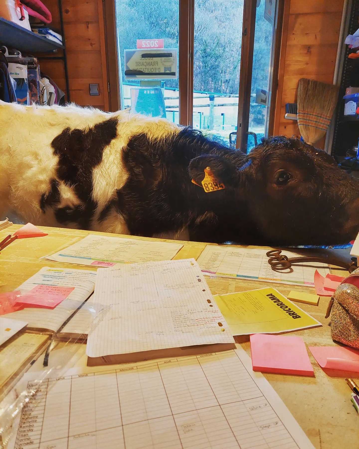 Smarties qui vient régler ses dettes 💸