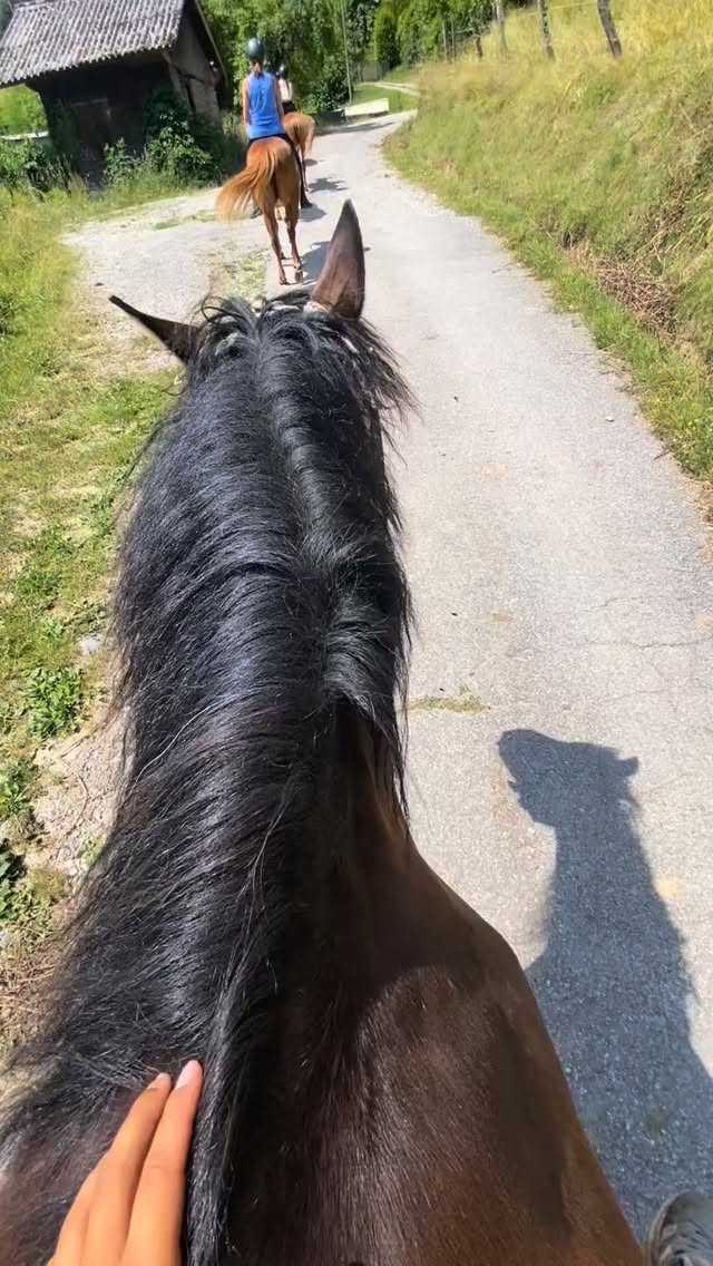 Quand le bien-être des chevaux passe avant tout 🐎🌿, on voit la différence.❤️