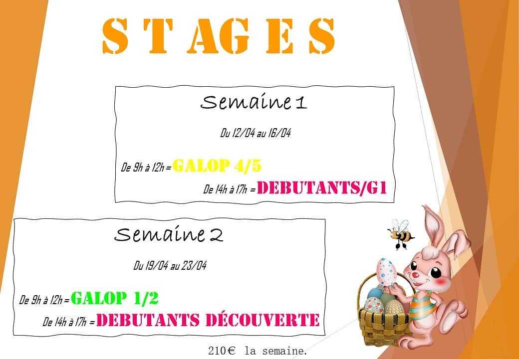 Top aux inscriptions ! 🐣🐰