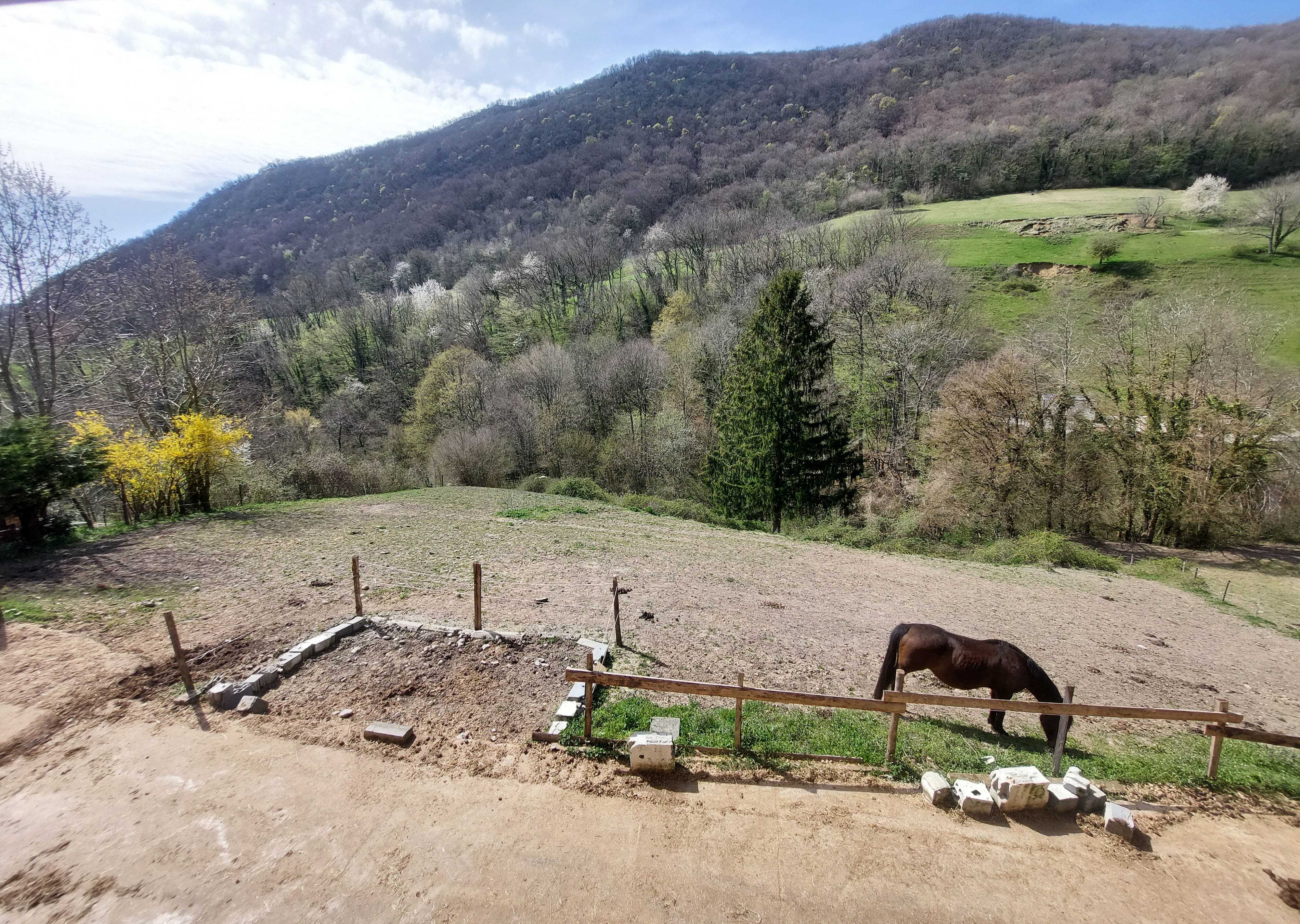 Pensions pré herbes pour chevaux à Annecy Epagny