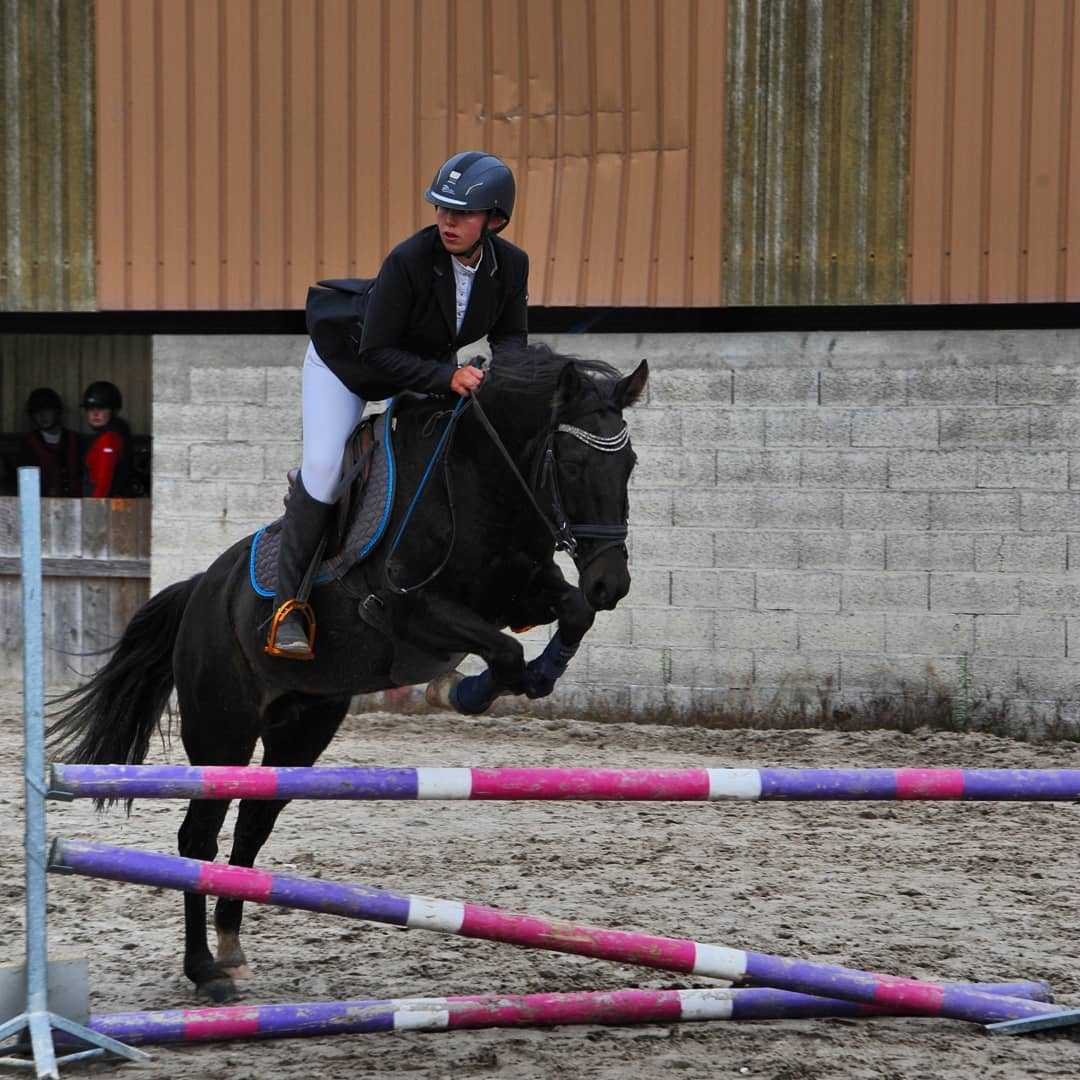 📸 Les photos du concours sont prêtes ! 🤗 Je vous les envoi par mail dans le week-end ! 📧

🦄 Encore merci à tous pour cette belle journée ! 😍

@aravisequitation je t'envoie les dossiers de chacun de tes élèves par mail aussi tu les redistribueras ! 😋