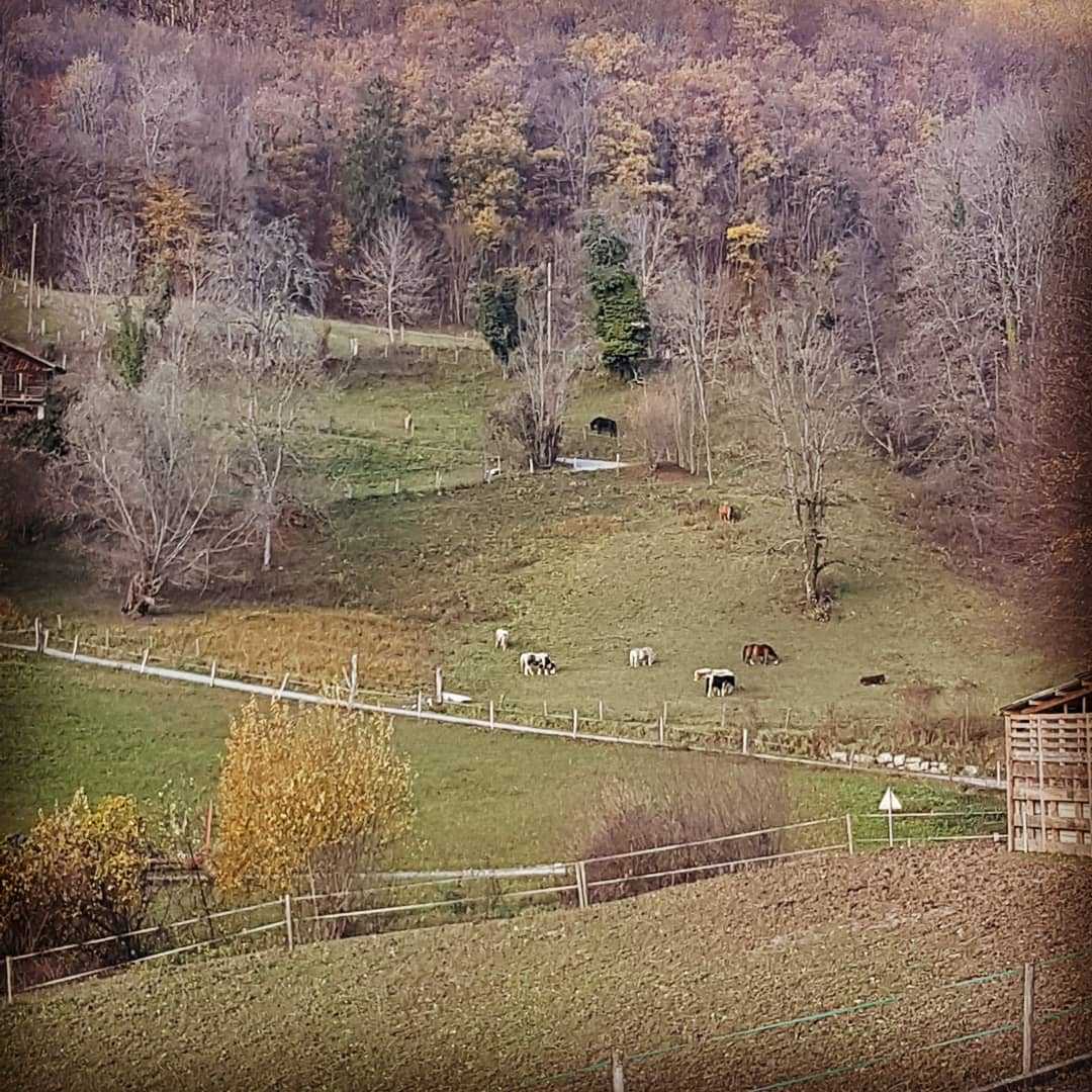 Plus belle la vie ! 😎🦄